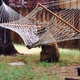 Illustration for article titled EXCLUSIVE BEAR PICTURES: Bear In A Hammock, Bear By A Trash Can